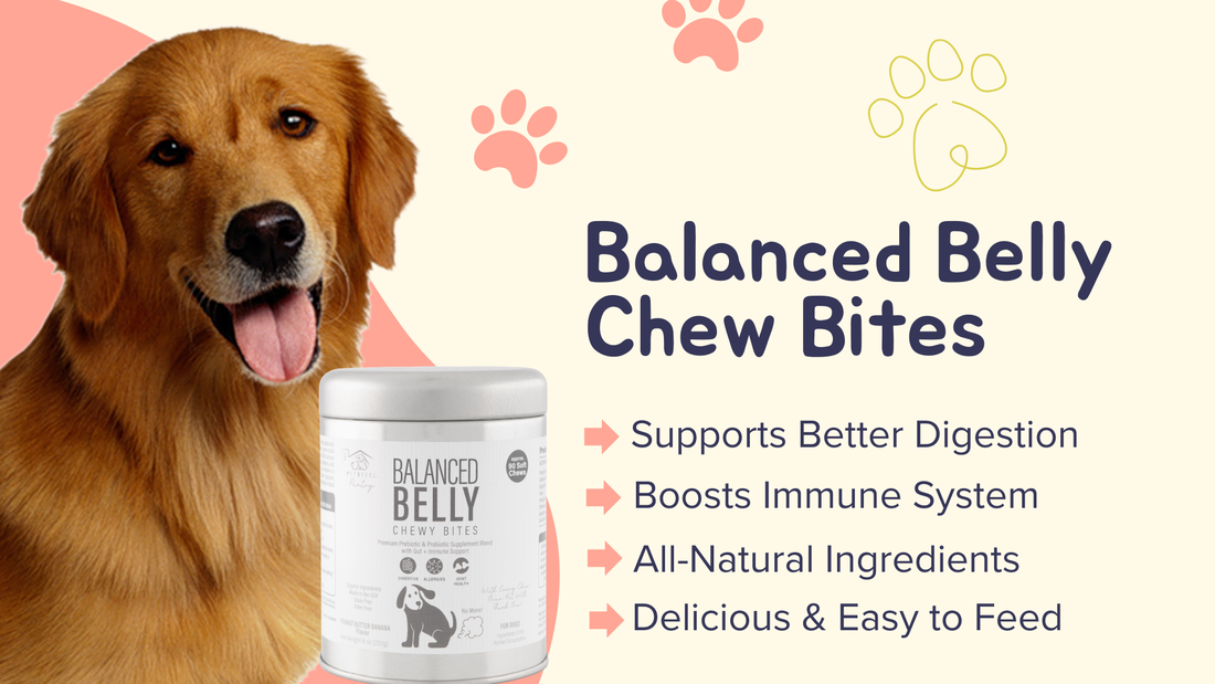 Balanced Belly Chewy Bites