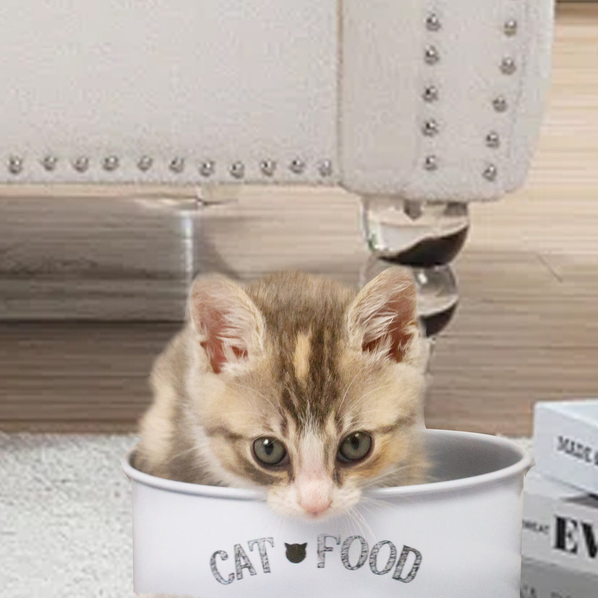 White Cat Bowl | Sturdy | Easy to eat, Easy to wash | Striking but Simple Design for Your Adorable Cat to eat Their Tasty Food or Fresh Treats