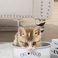 White Cat Bowl | Sturdy | Easy to eat, Easy to wash | Striking but Simple Design for Your Adorable Cat to eat Their Tasty Food or Fresh Treats