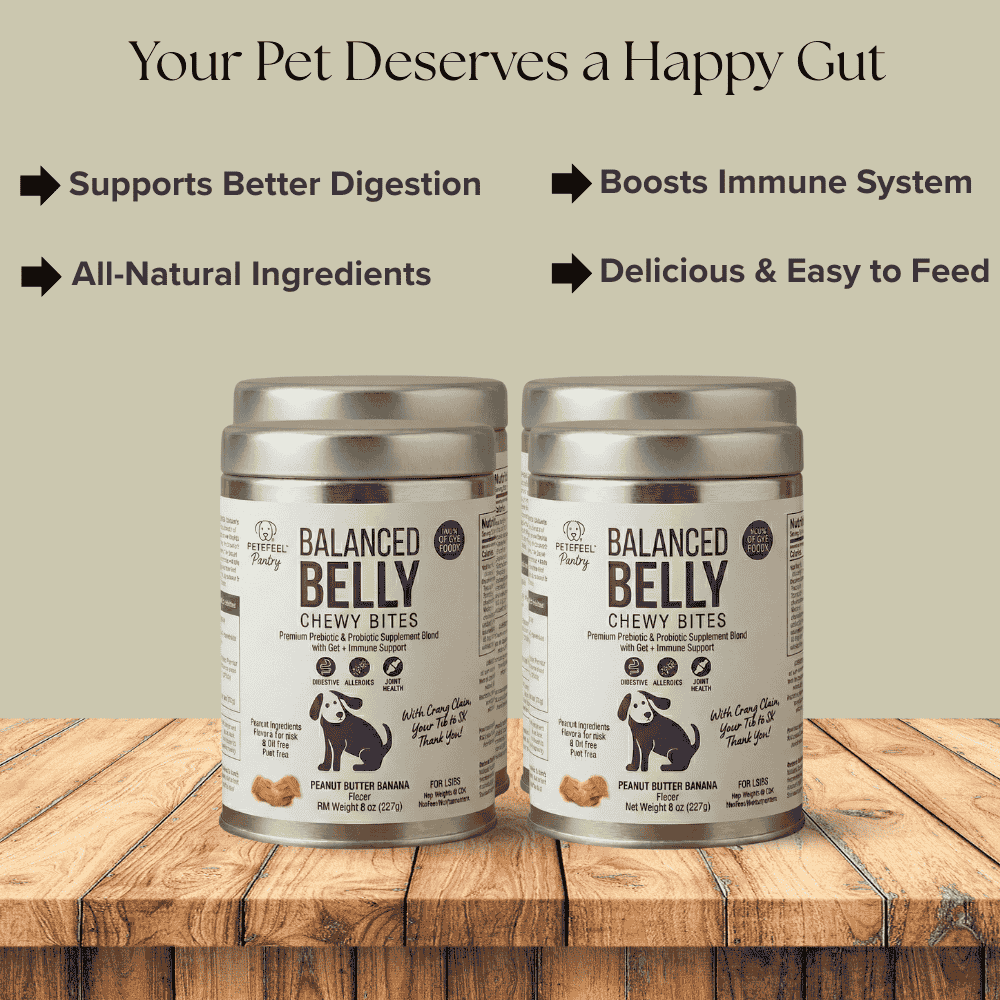 Balanced Belly Chewy Bites - Pack of 4