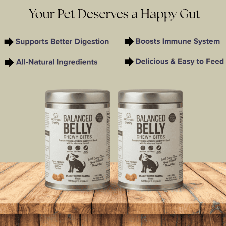 Balanced Belly Chewy Bites - Pack of 2