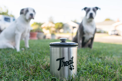 Stainless Steel Treats Jar with Black Lid | Fits up to 2 lbs of Pet's Treats | Tight Fitting Lids | Great Way to Store Your Dog or Cat's Food